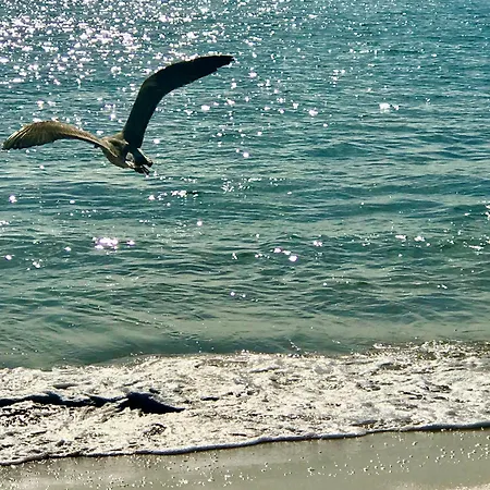 Atlantic Waves Pensionat *